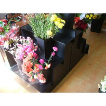 Load image into Gallery viewer, Heavy-Duty 3-Tier Black Metal Plant Stand – 500kg Capacity Flower Pot Display Shelf for Indoor &amp; Outdoor Use